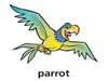 Final T Parrot Dnt Image